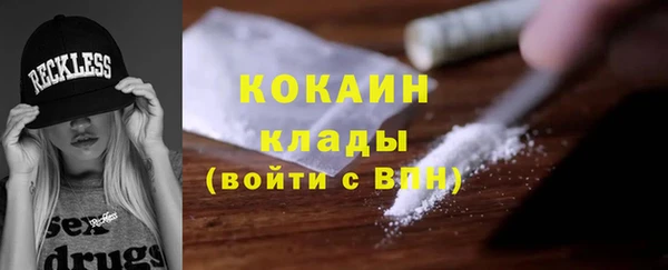 дурь Бронницы